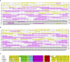 Figure 4—figure supplement 1.