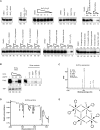 Figure 3—figure supplement 3.