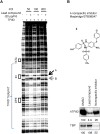 Figure 5—figure supplement 1.