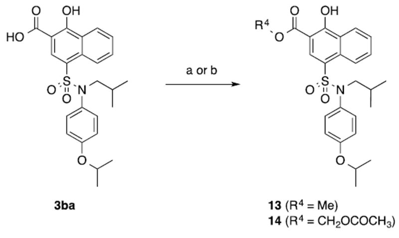 Scheme 5