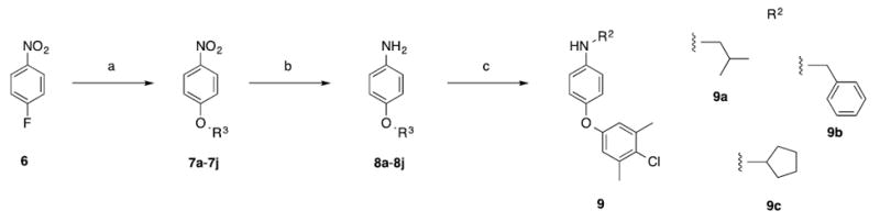 Scheme 3