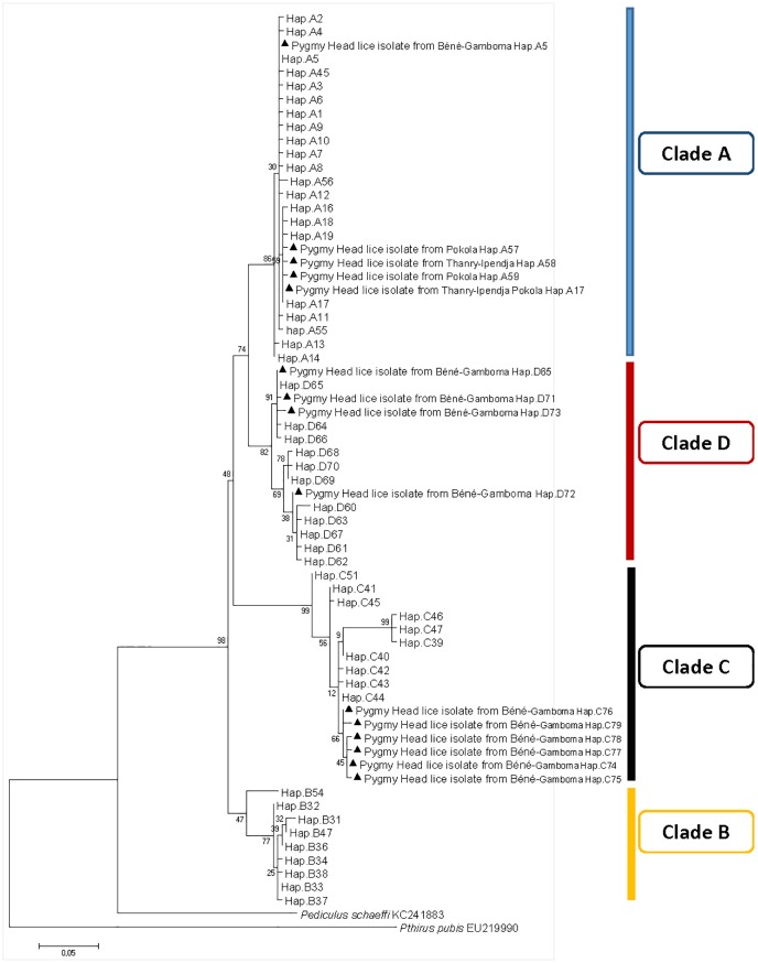 Fig 3