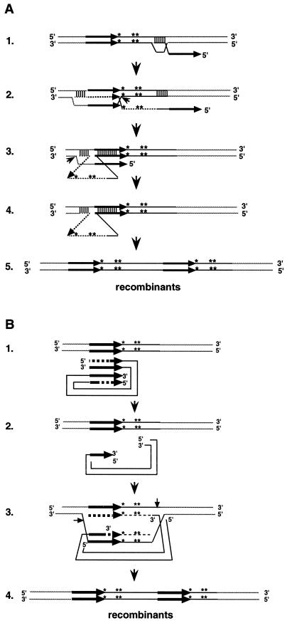 FIG. 9