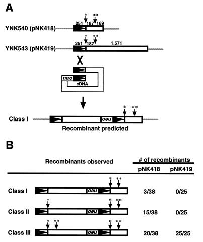 FIG. 8