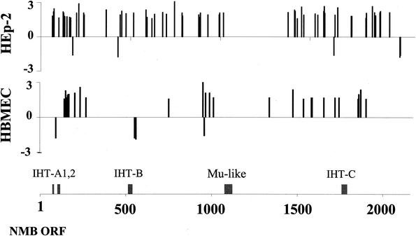 FIG. 1.