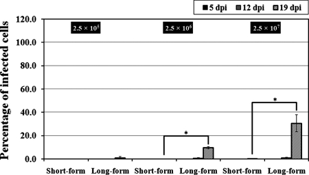 FIG. 5.