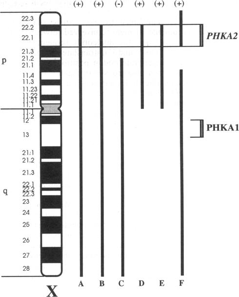 graphic file with name pnas01080-0111-a.jpg