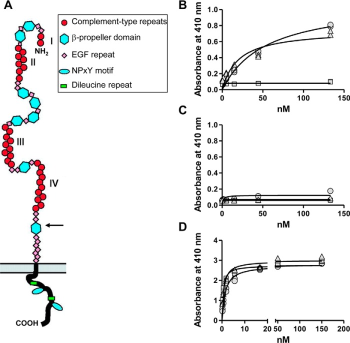 FIGURE 4.