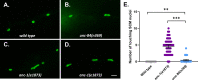 Figure 1—figure supplement 1.