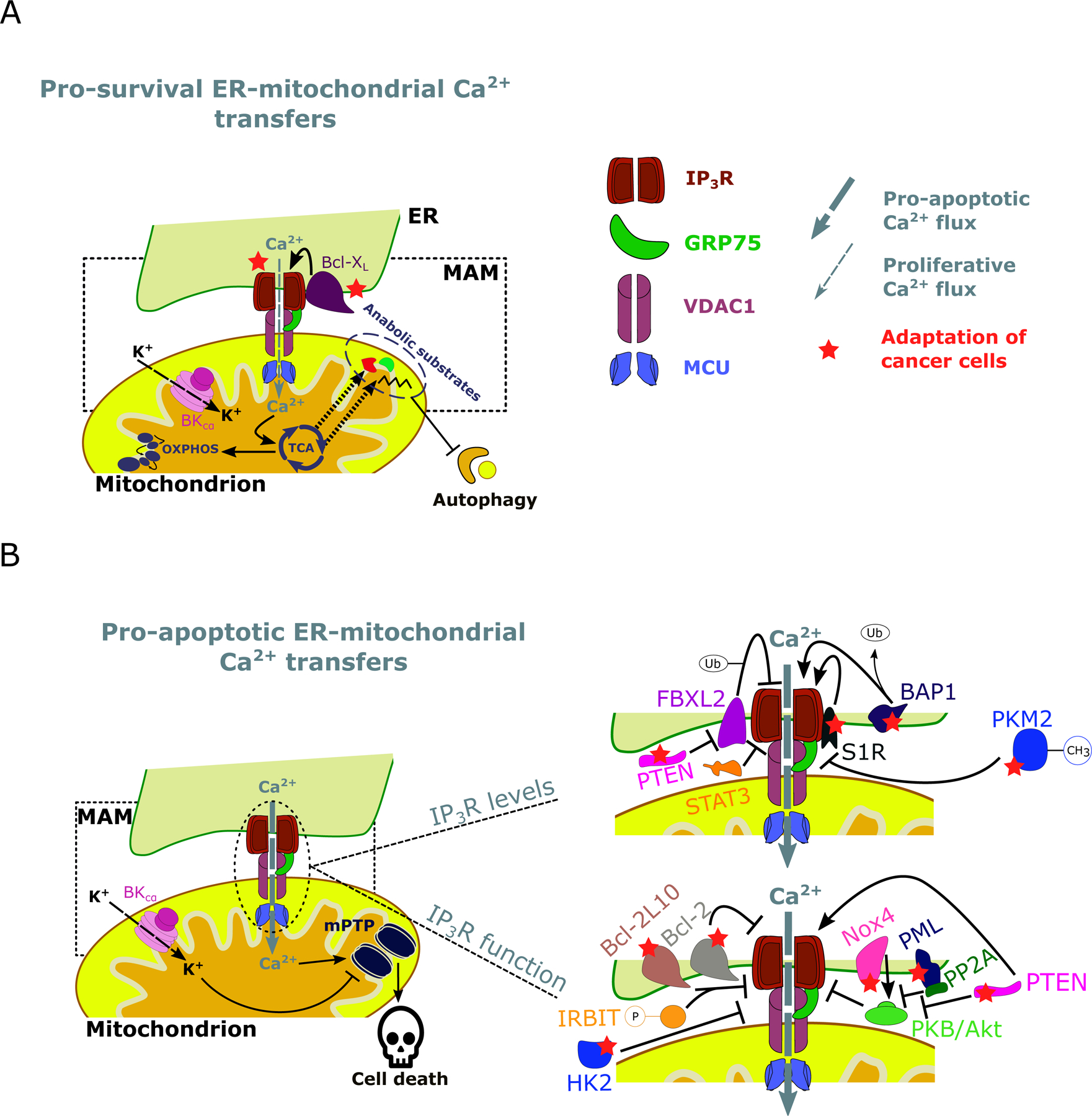 Figure 2: