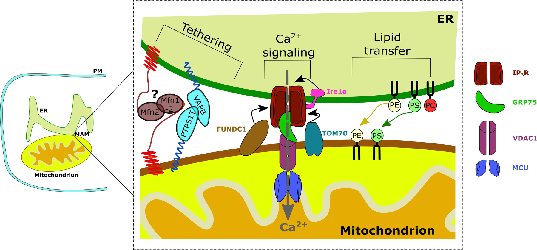 Figure 1, key figure: