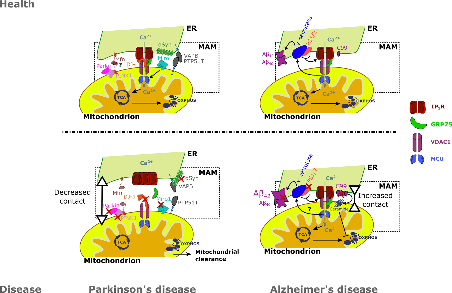 Figure 3: