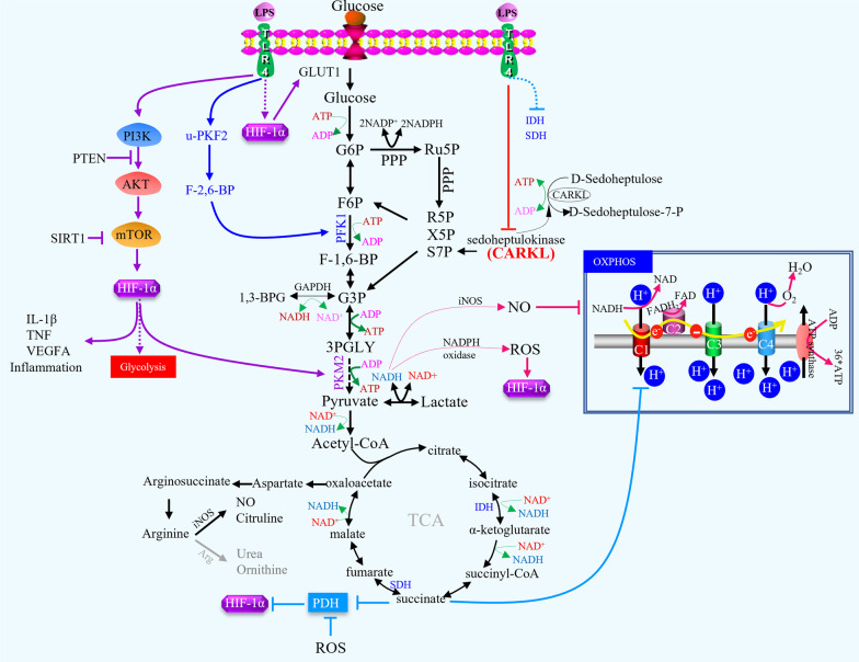 Fig. 2