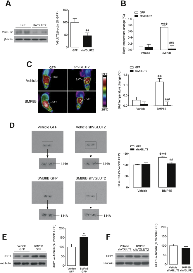 Figure 7