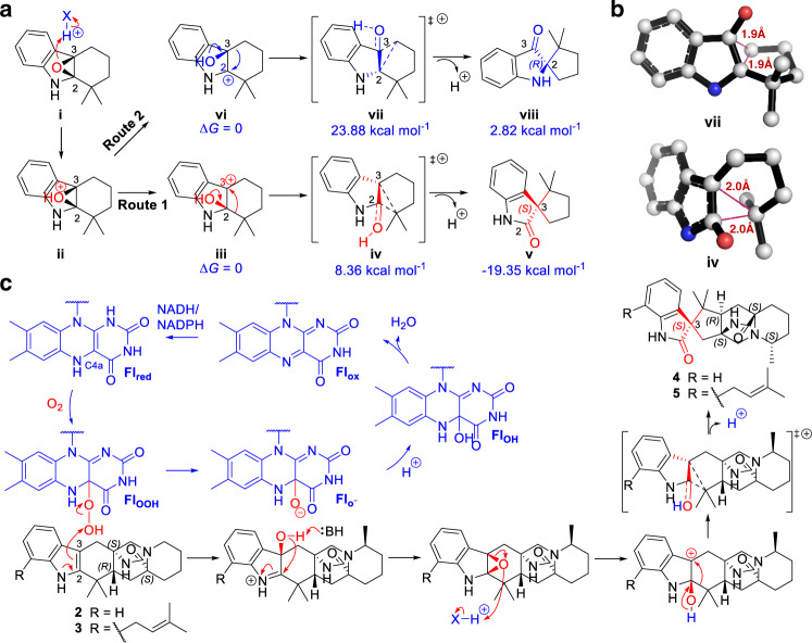 Fig. 7