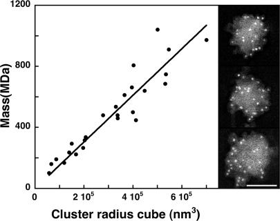 Fig. 3.