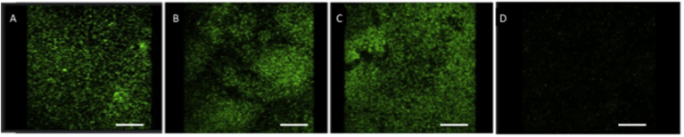 Fig. 7