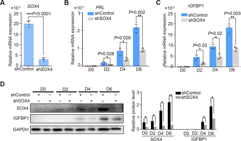 Figure 3—figure supplement 2.