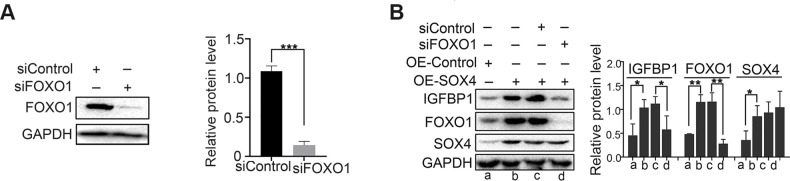 Figure 4—figure supplement 1.