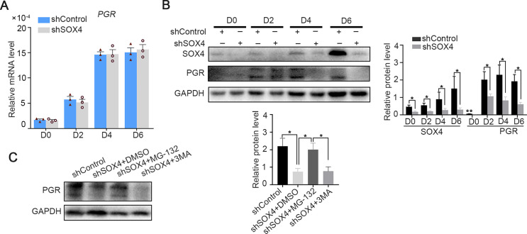 Figure 5—figure supplement 1.