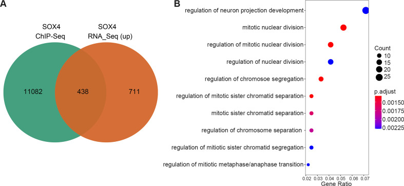 Figure 4—figure supplement 2.