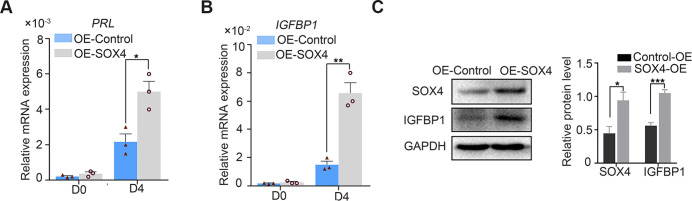 Figure 3—figure supplement 3.