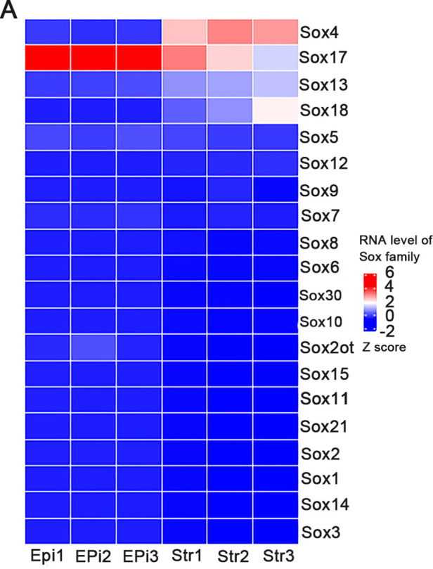 Figure 1—figure supplement 1.