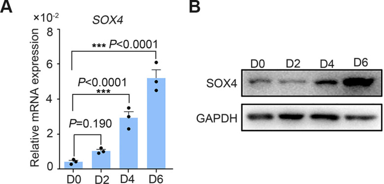 Figure 1—figure supplement 2.