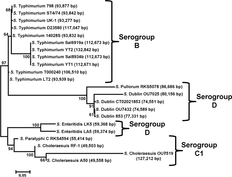 Fig 1