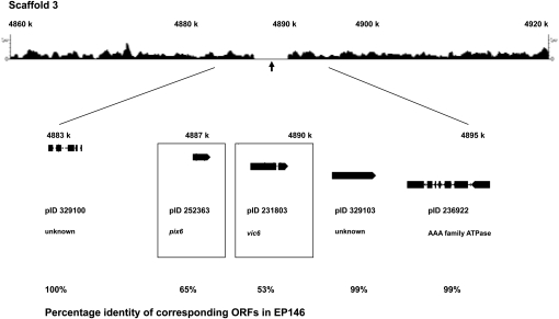 Figure 5 