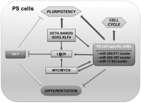 FIG. 4.