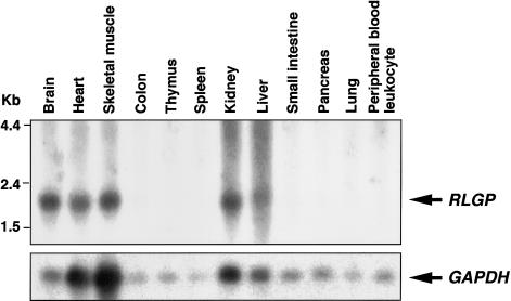 Figure  3