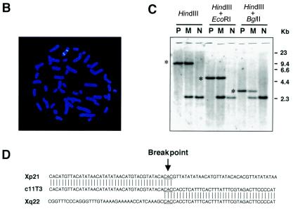 Figure  1