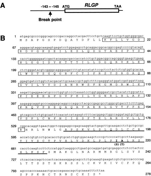 Figure  2