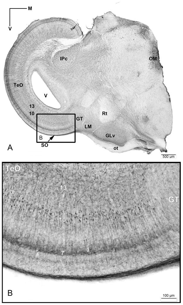 Figure 12