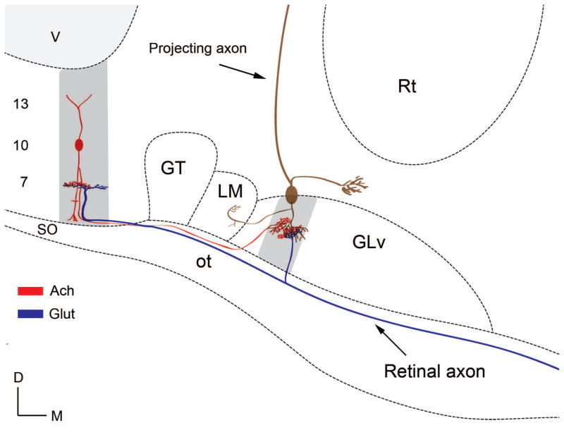 Figure 14