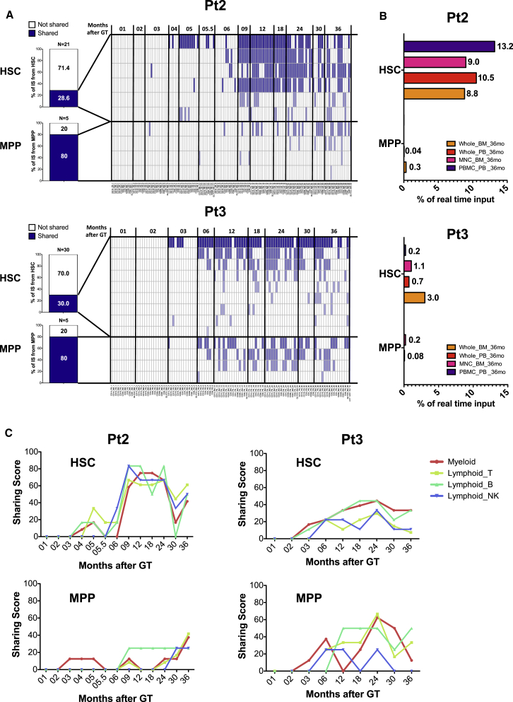 Figure 3