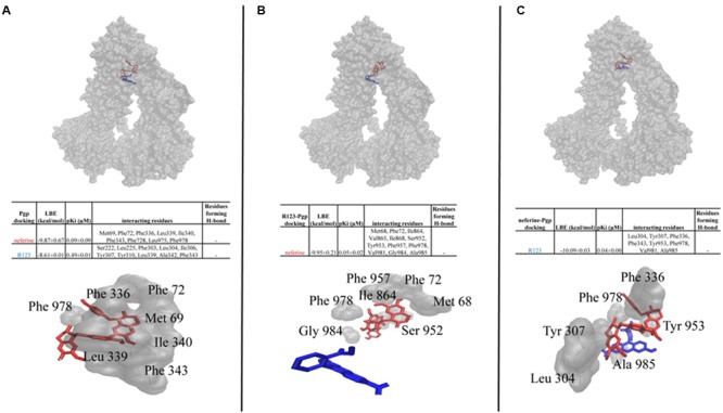 FIGURE 6