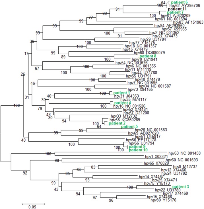 Figure 2.