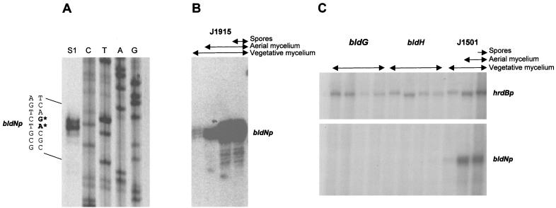 FIG. 6