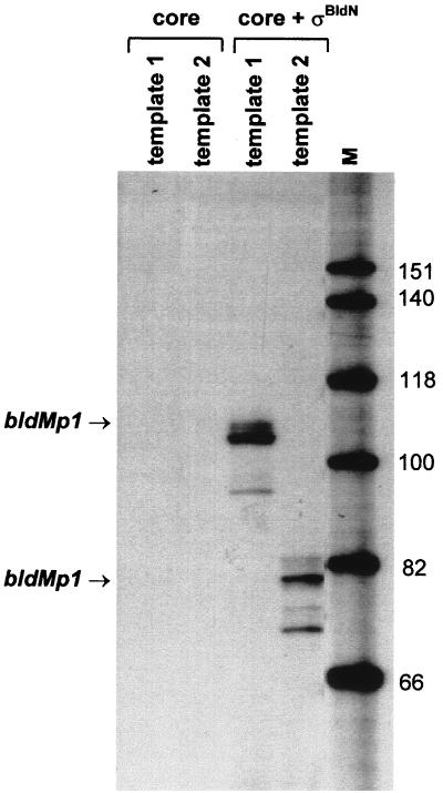 FIG. 8