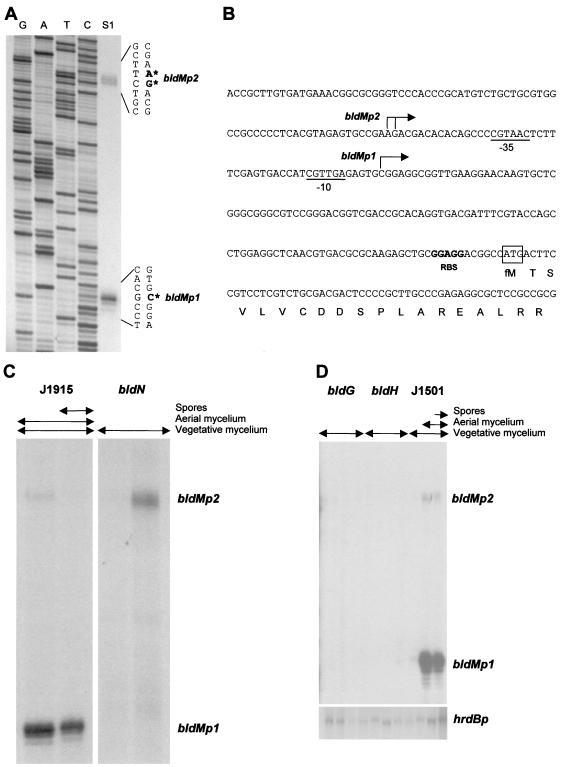 FIG. 7