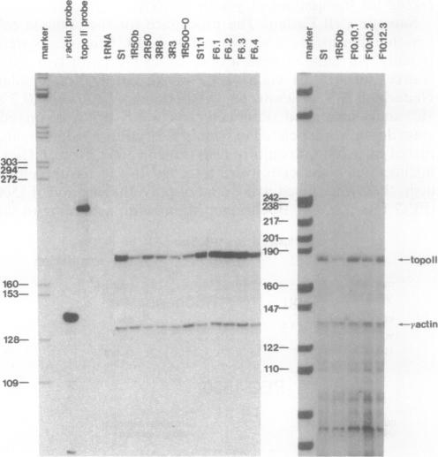 graphic file with name pnas01082-0346-a.jpg