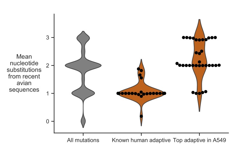 Figure 7.