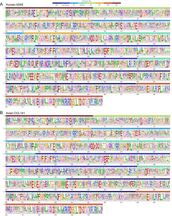 Figure 2—figure supplement 1.