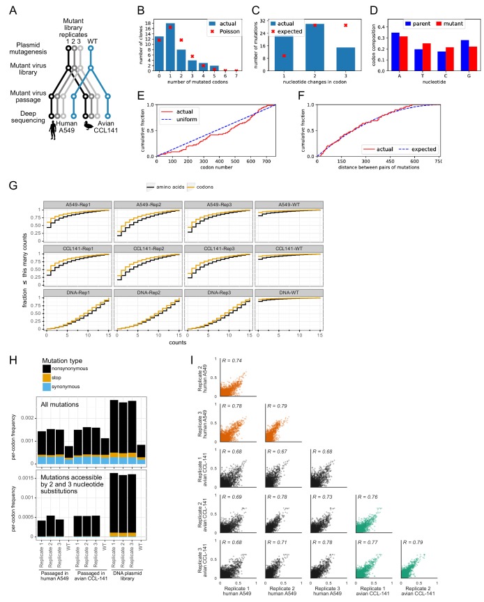 Figure 1—figure supplement 2.