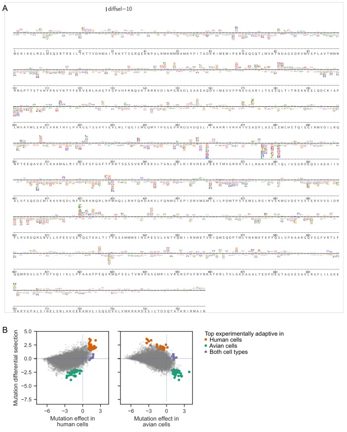 Figure 3—figure supplement 1.