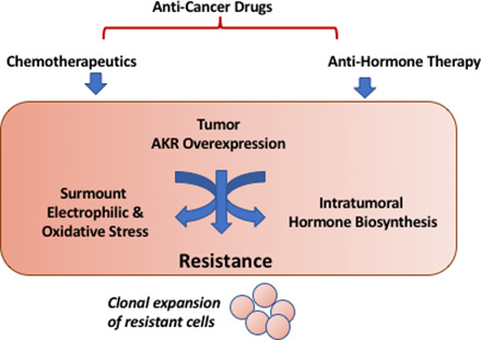 graphic file with name pharmrev.120.000122absf1.jpg