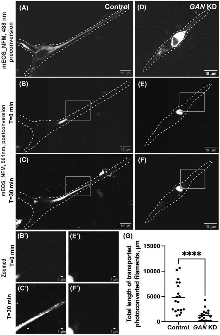 FIGURE 3