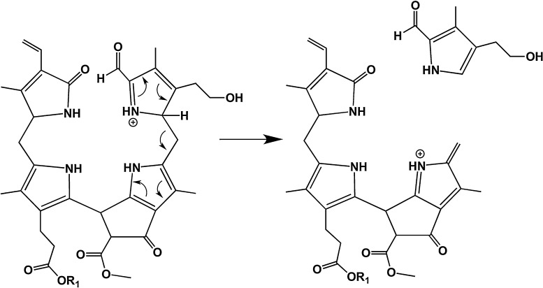 Scheme 4